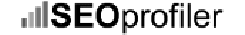 SEO Agency