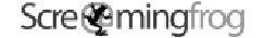 SEO Agency